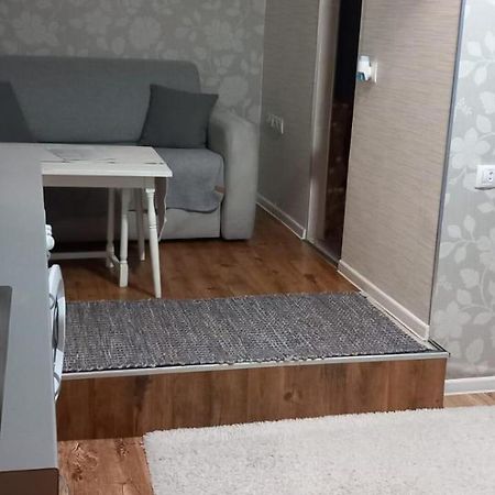 Cozy Studio In The Heart Of Cluj エクステリア 写真