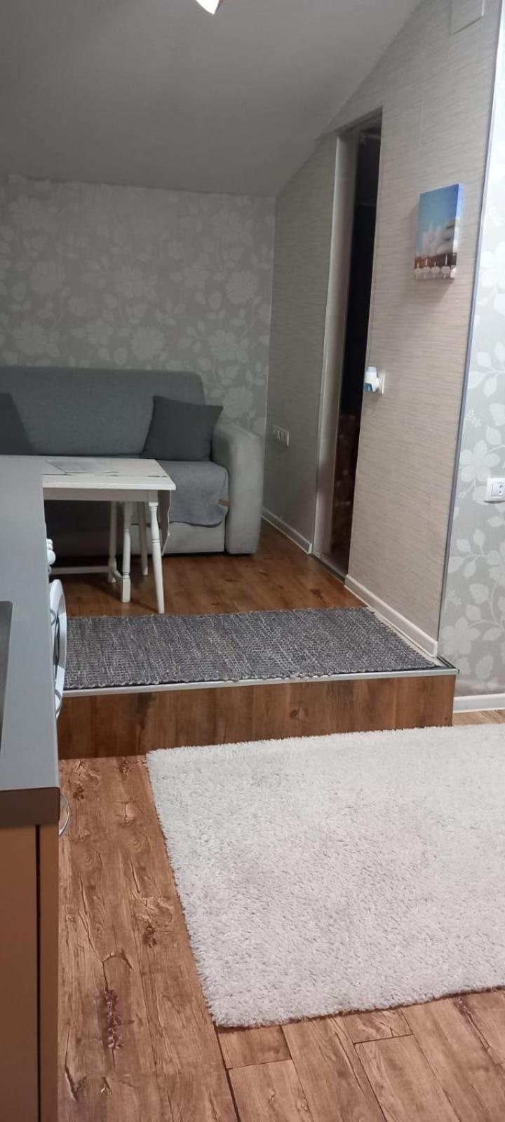 Cozy Studio In The Heart Of Cluj エクステリア 写真